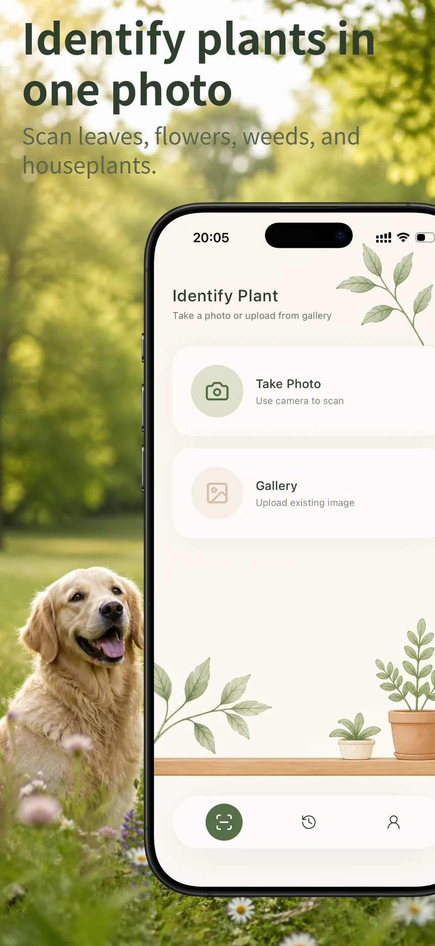 Flora Mind home screen with photo and gallery entry points