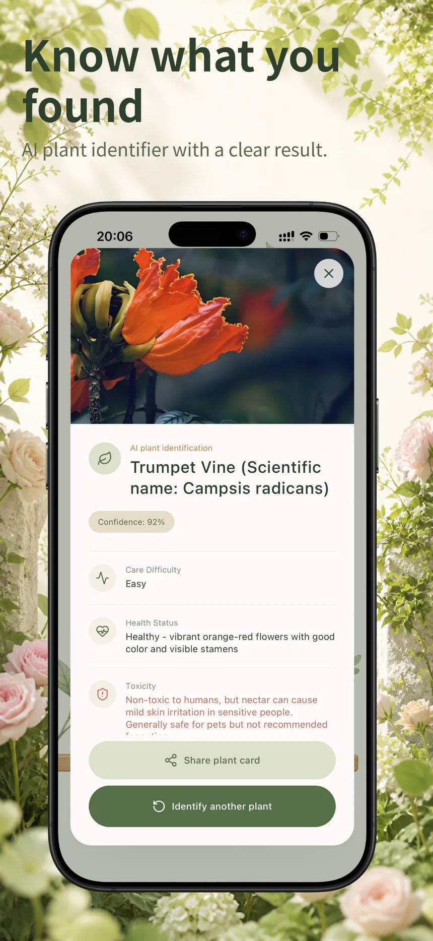 Flora Mind AI plant identification result with confidence