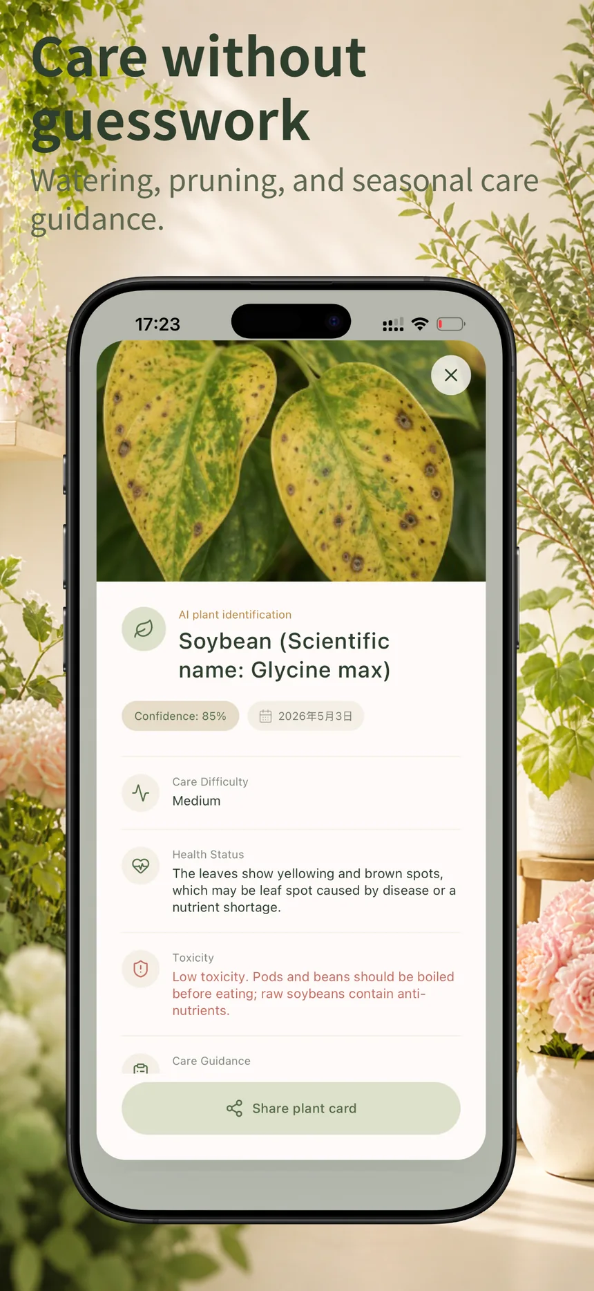 Flora Mind history screen for reviewing recent plant identifications