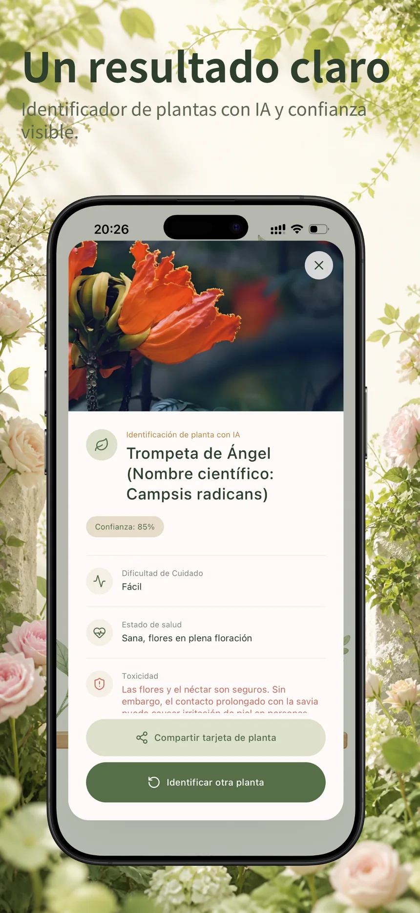 Resultado de identificación de plantas con IA en Flora Mind con confianza