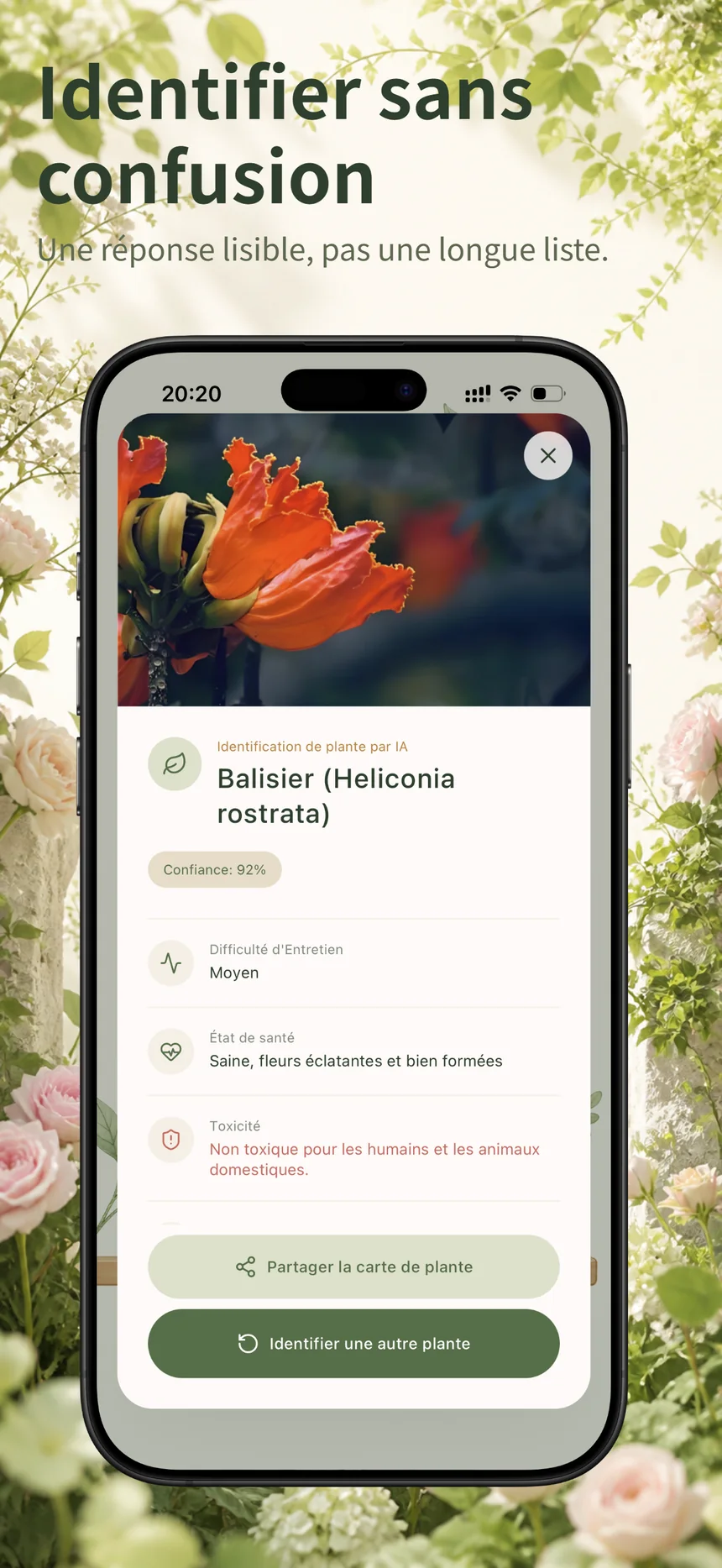 Résultat d’identification de plante par IA dans Flora Mind avec confiance