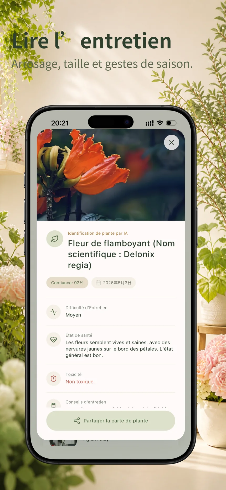Écran d’historique Flora Mind pour retrouver les identifications récentes