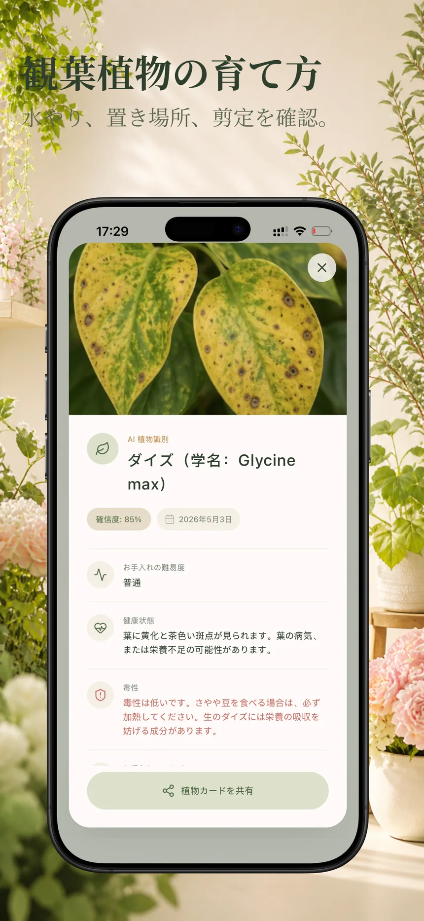 Flora Mind の履歴画面 - 最近の植物識別結果を見返す